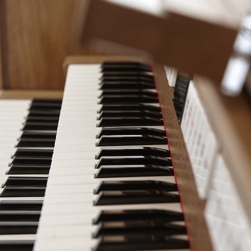 177 PIPE ORGAN VOICES